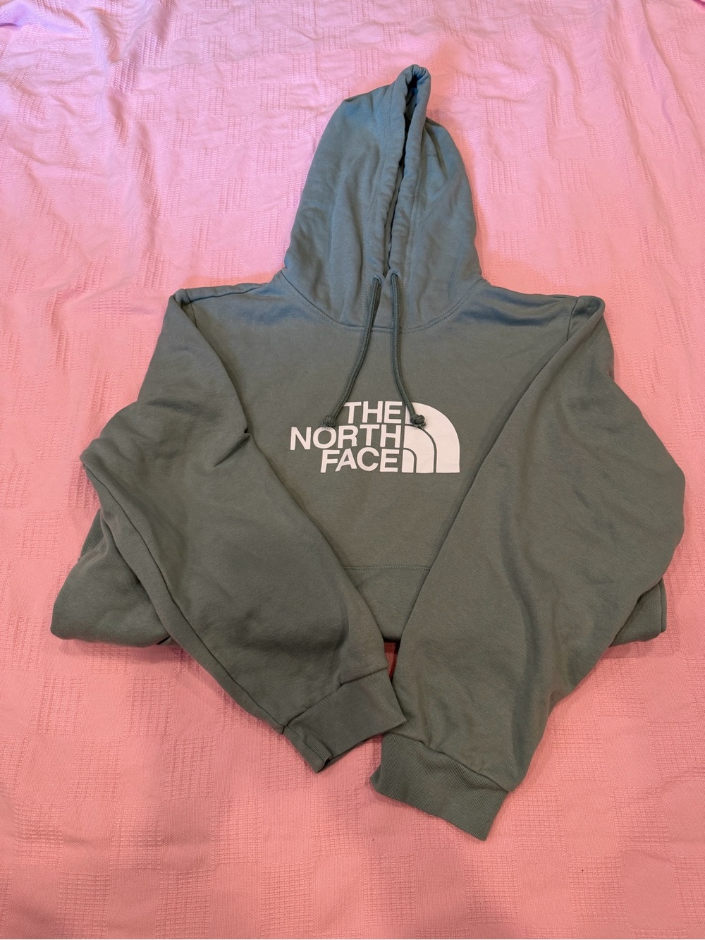 The North Face Sage Green Logo Pullover Hoodie